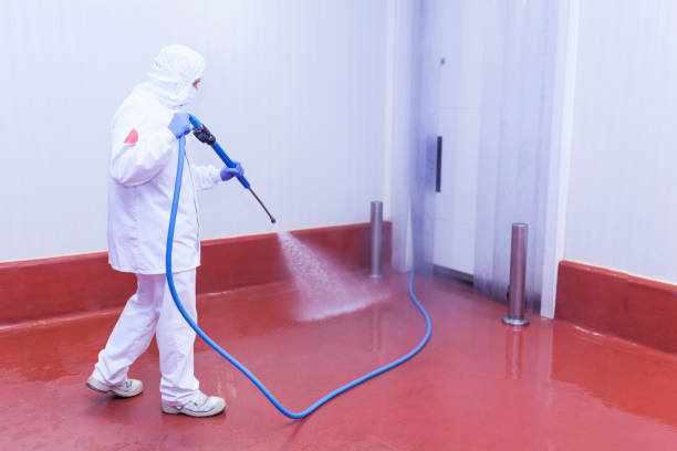 Best Winterizing Services  in Farmingville, NY